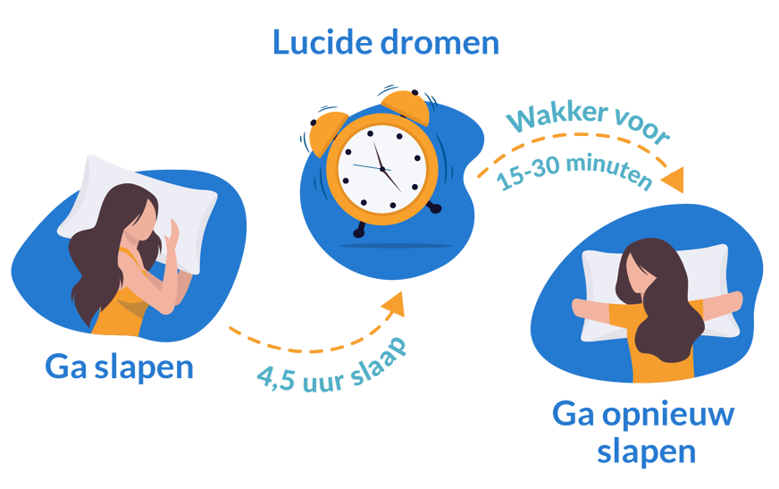 De WBTB-methode helpt als je lucide wilt dromen